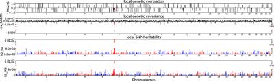 Identifying shared genetic loci and common risk genes of rheumatoid arthritis associated with three autoimmune diseases based on large-scale cross-trait genome-wide association studies